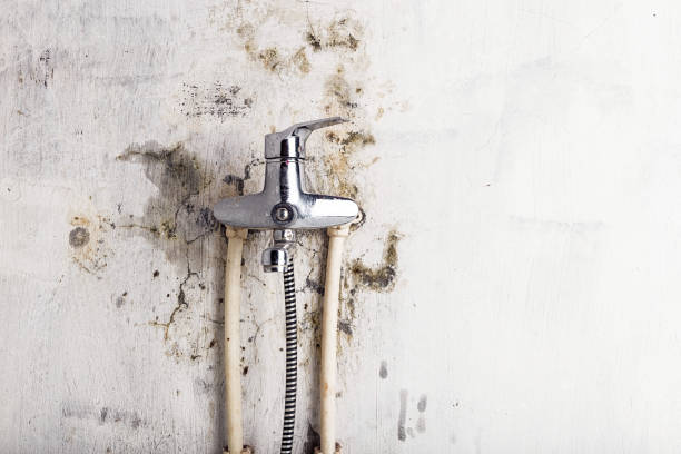 Best Post-Flood Mold Remediation in Canastota, NY