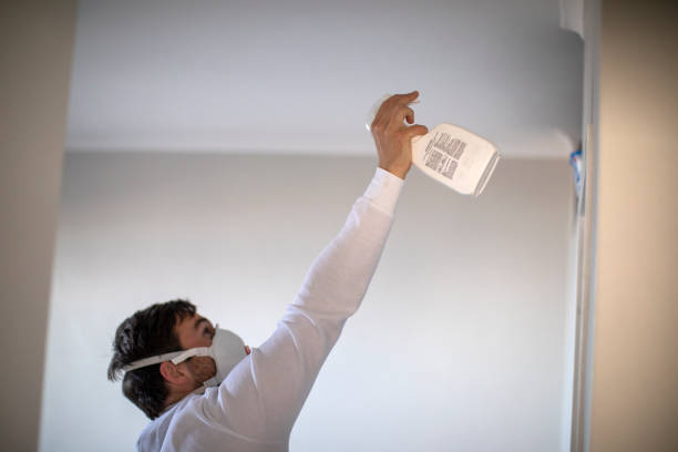 Best Attic Mold Remediation in Canastota, NY